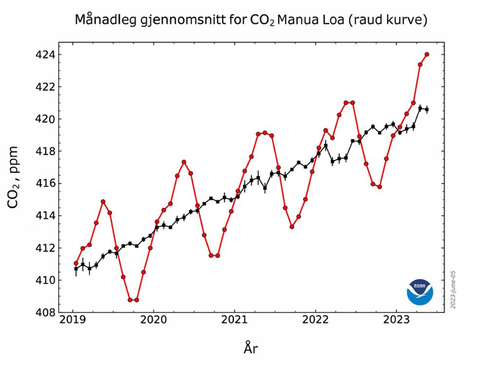 Graf som viser CO2-variasjoner på Manua Loa. Grafikk.