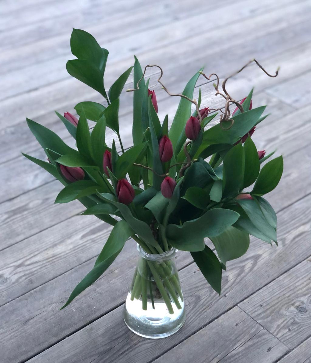Tulipanar med staffasje i vase. Foto. 