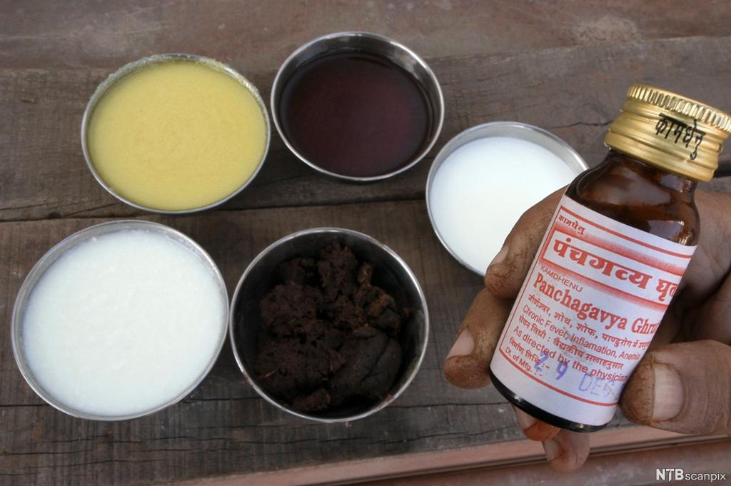 Fem skåler med ulike produkter. Hånd holder frem en medisinflaske med indisk skrift. Foto.