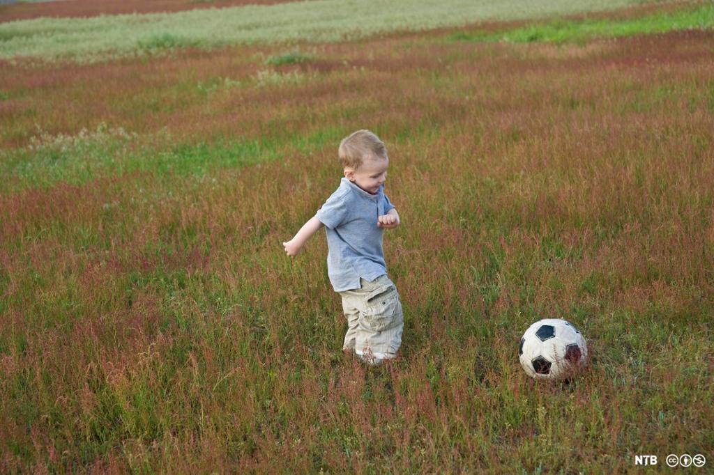 En liten gutt på ei eng går mot en fotball som ligger litt foran ham. Foto.