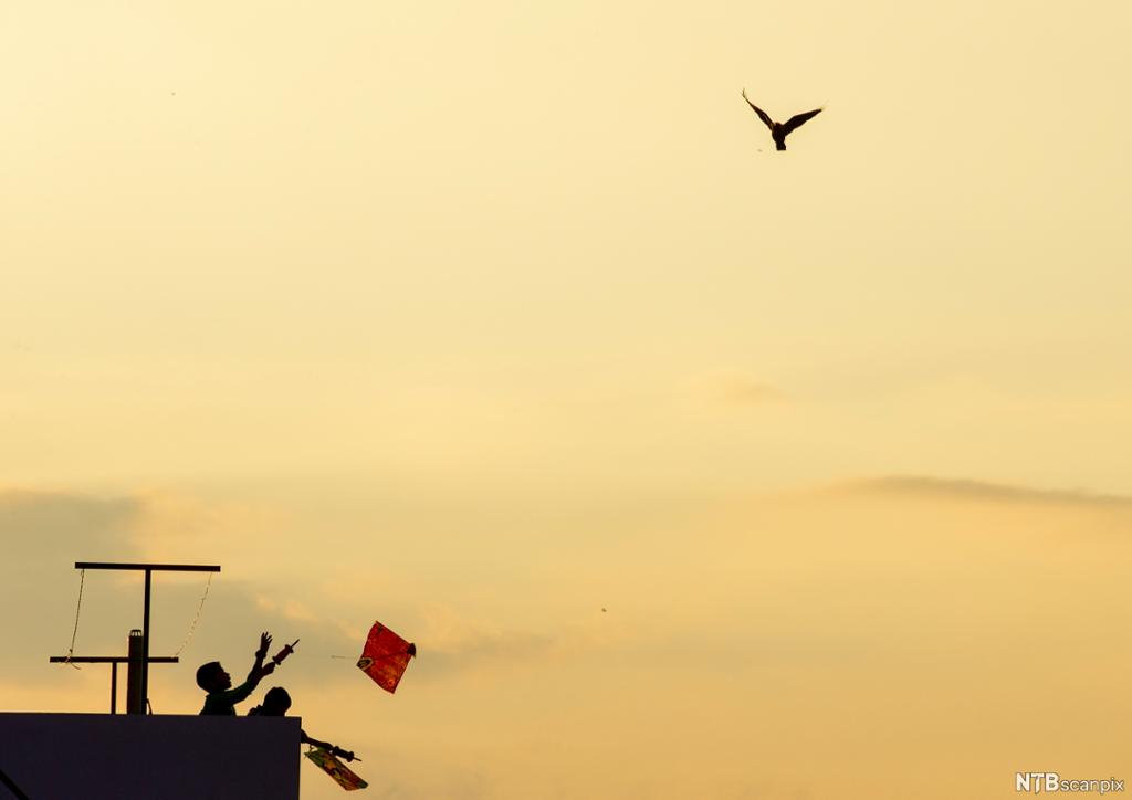 Two children flying a kite from a rooftop