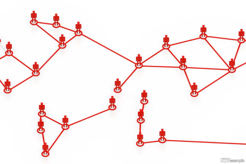 Illustrasjon av et nettverk og relasjoner mellom nodene.