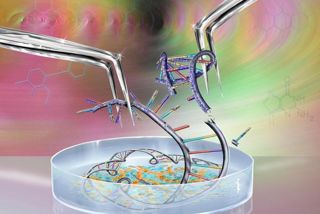 DNA som blir klipt opp i ei petriskål. Illustrasjon