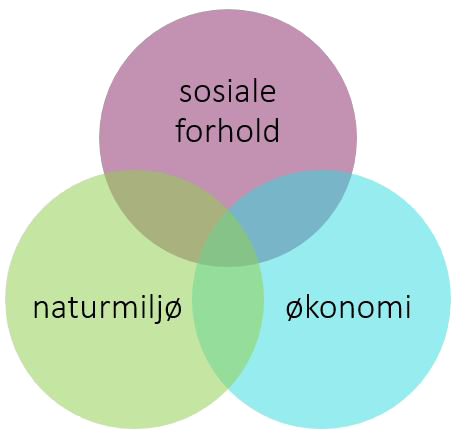 Figur som viser at bærekraftig utvikling handler om miljø, sosiale forhold og økonomi. Grafikk.
