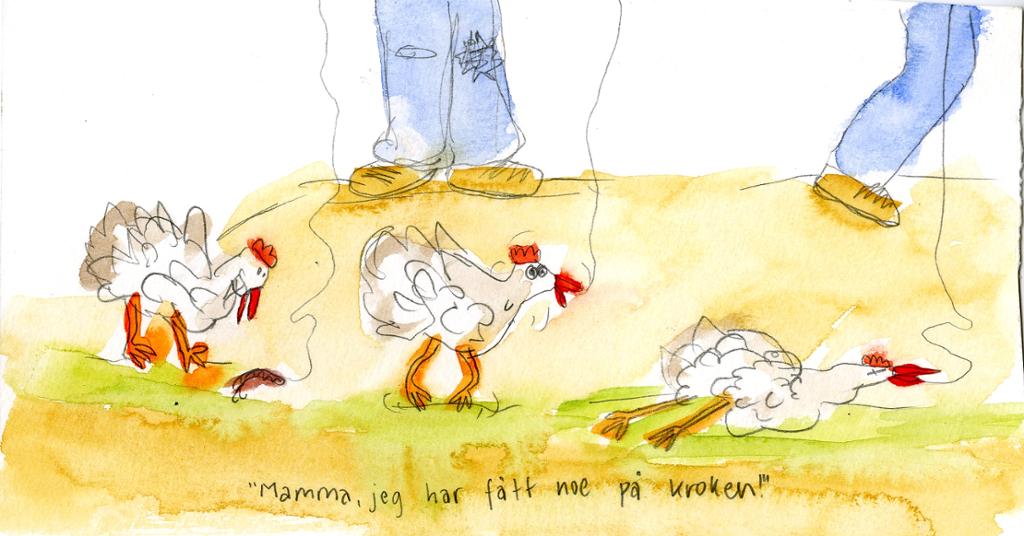 barnetegning- høns.ilustrasjon.