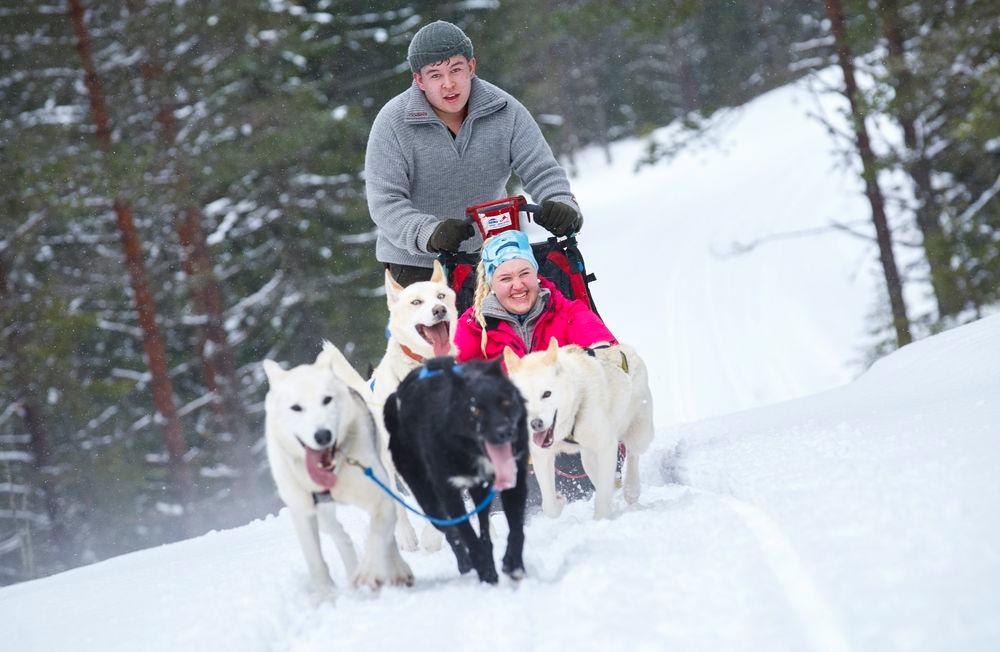 En ung mann og en ung dame kjører hundespann i snøen. Foto.