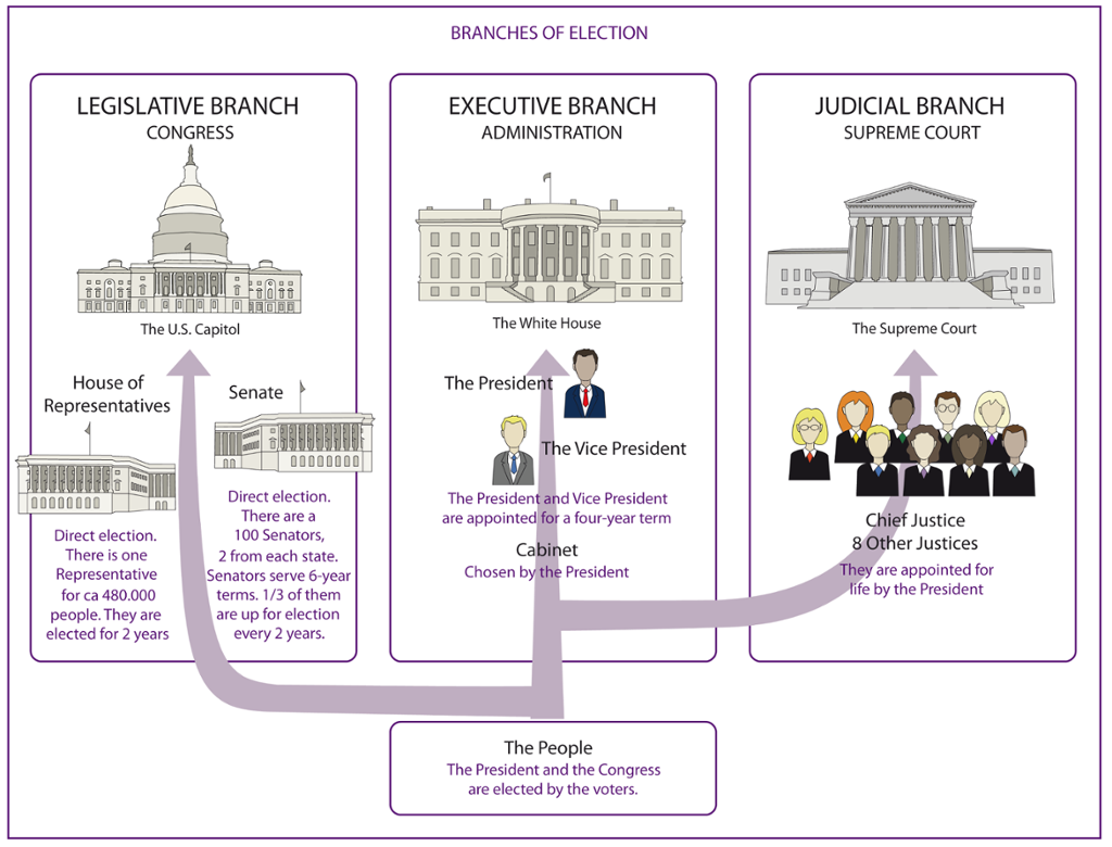 Branches of Election. Illustration.