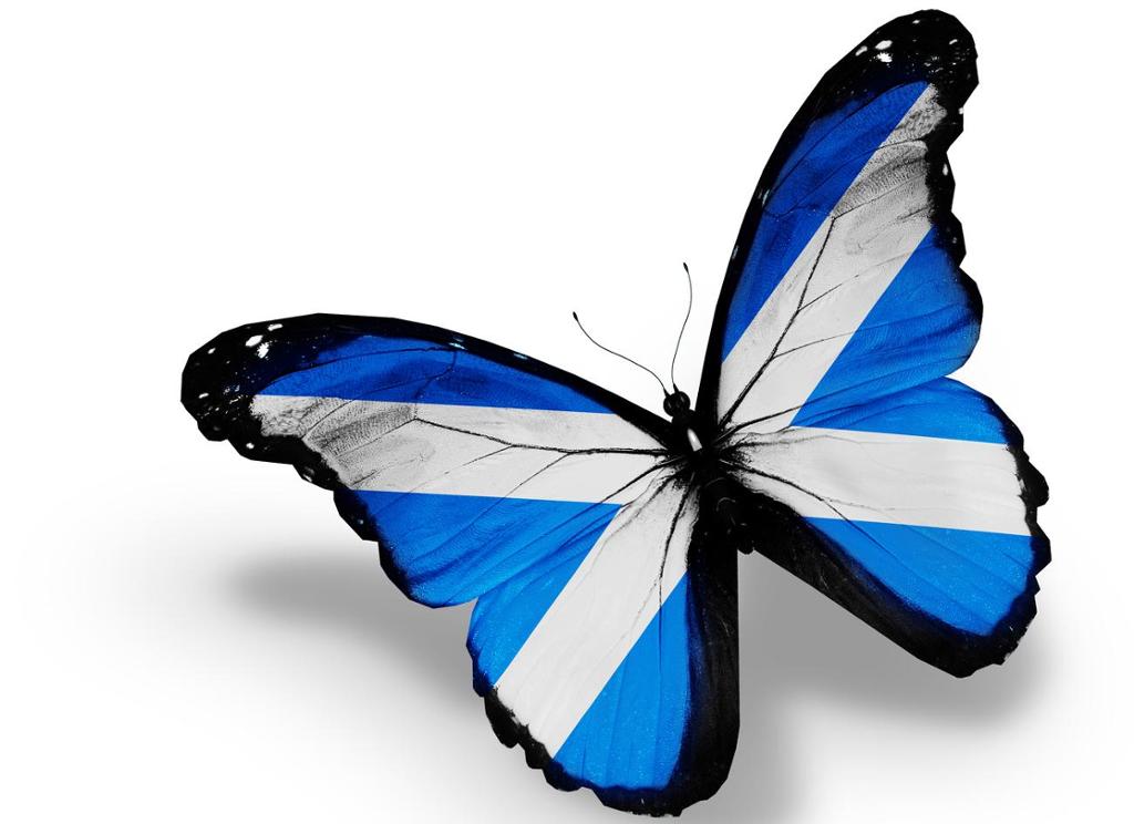 A butterfly with wings formed like the Scottish flag