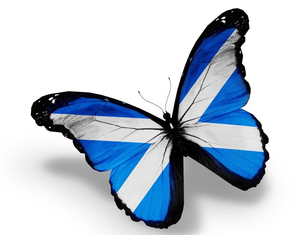 A butterfly with wings formed like the Scottish flag