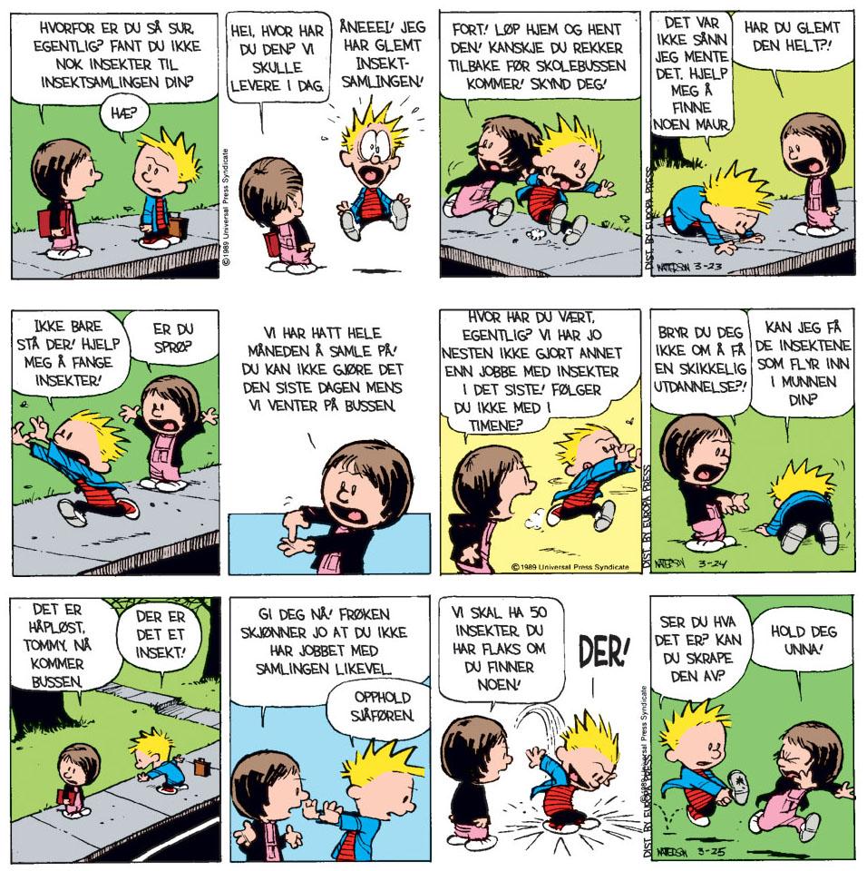 Tegneseriefigurene Marianne og Tommy i tegneserien Tommy og Tigern'n skal levere objektsamling på skolen, men Tommy har glemt å samle inn i løpet av skoleåret. Han gjør derfor et siste og desperat forsøk på å samle inn en maur på skoleveien. Illustrasjon.