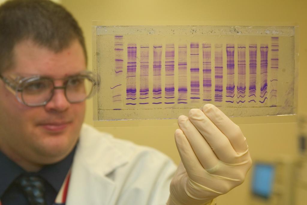 En mann studerer en DNA-profil. Foto.