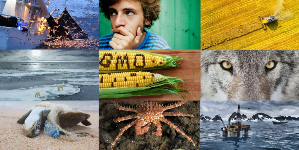 Collage av bilder som viser globale interessekonflikter. Foto.
