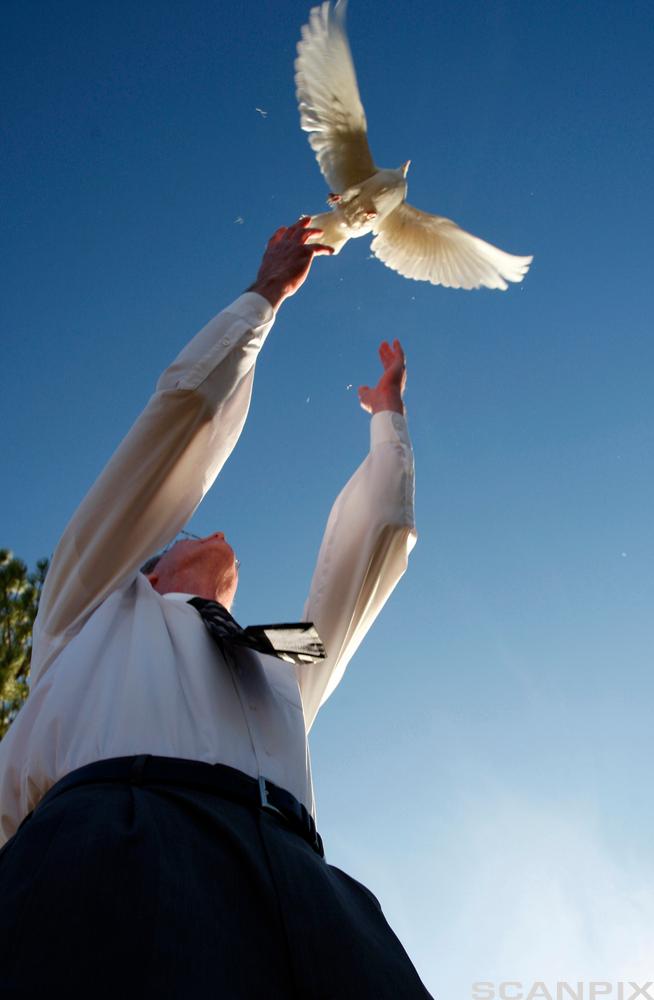 One of the 13 doves released for the 13 victims of the massacre at Columbine High School is released at the conclusion of a memo