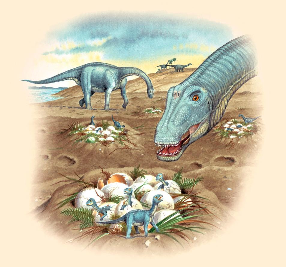 Dinosauren Bonitasaurus dinosaurs ved eit reit med egg. Illustrasjon.