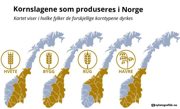 I hvilke fylker de ulike kornslagene produseres. Grafikk