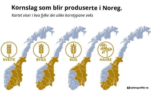 I hvilke fylker de ulike kornslagene produseres. Grafikk