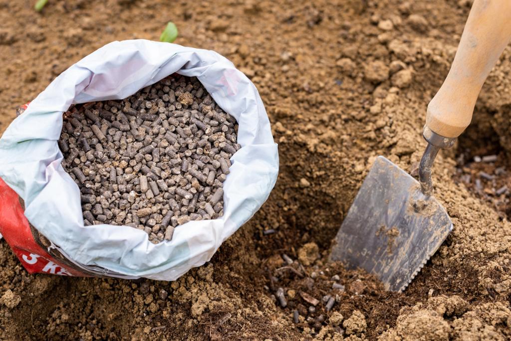 Økologisk hønsegjødselpellets i sekk ligg klar til å bli fylt i eit hol i jorda som blir grave ut med ein liten handspade. Foto.