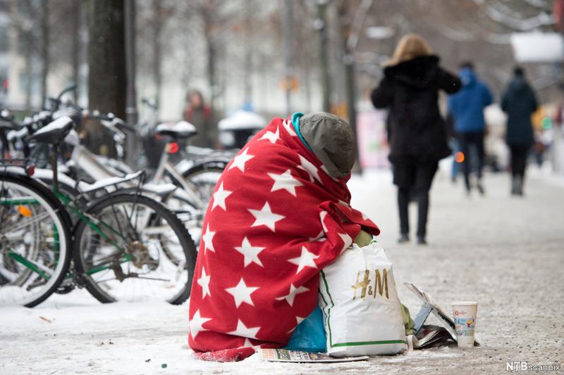 En tigger med et pledd rundt seg, sittende på avispapir en vinterdag. Foto. 
