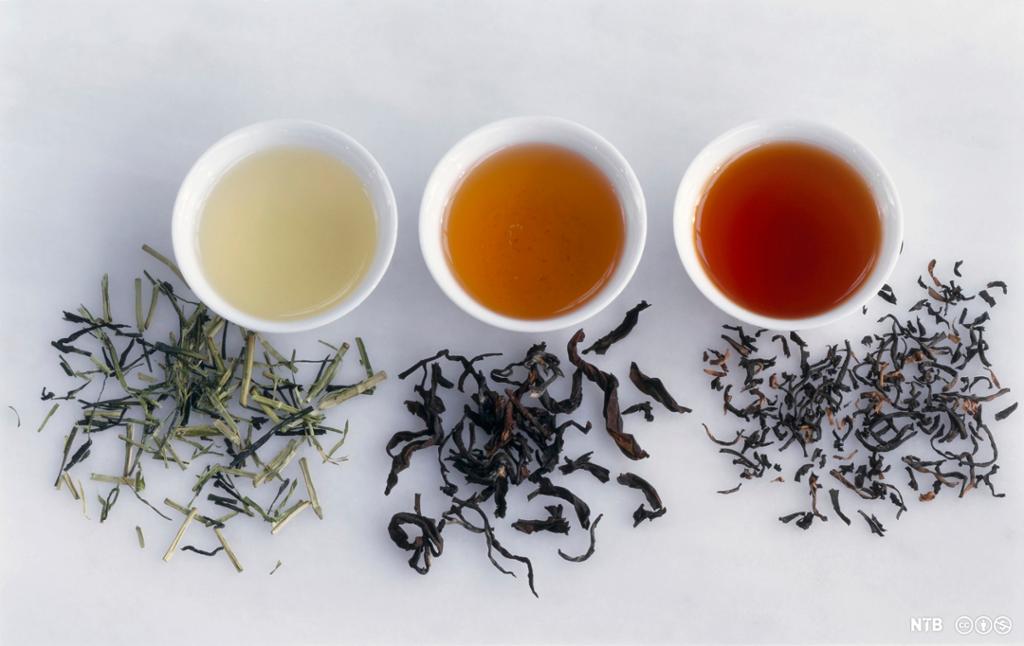 Tre koppar med ulike tear, ved sida av ligg tørka teblad. Foto.