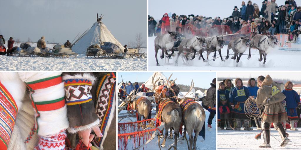 Kollasj av samisk kultur som lavvu, reinekøyring, klede, pynta køyrerein og lassokonkurranse. Foto.
