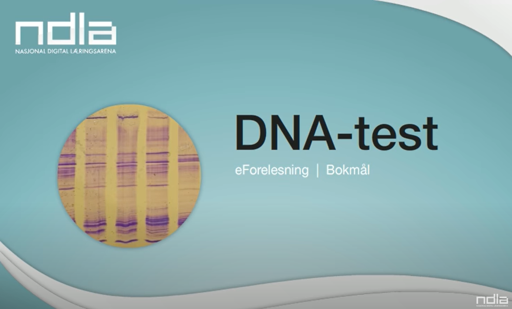 DNA-test – e-forelesning - Naturfag (SF) - NDLA