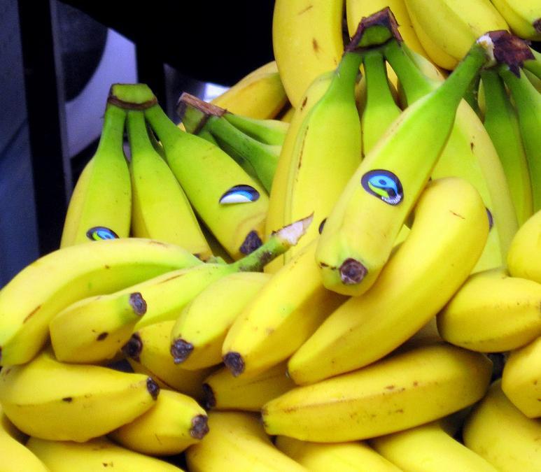 Bananer som ligger i en haug. Foto.