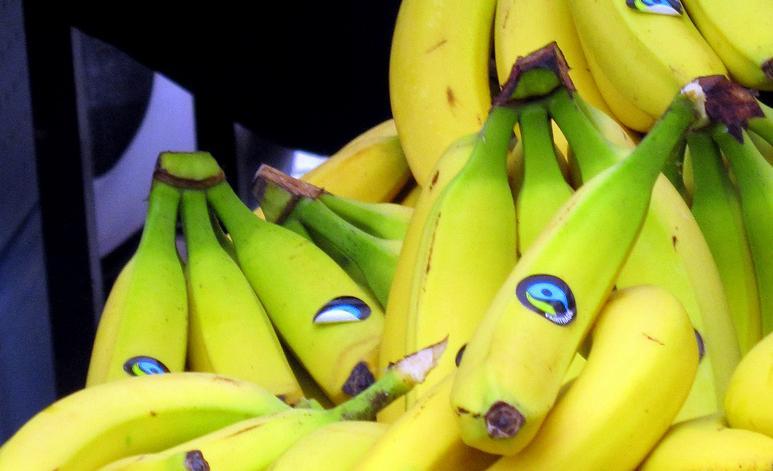 Bananar som ligg i ein haug. Foto.