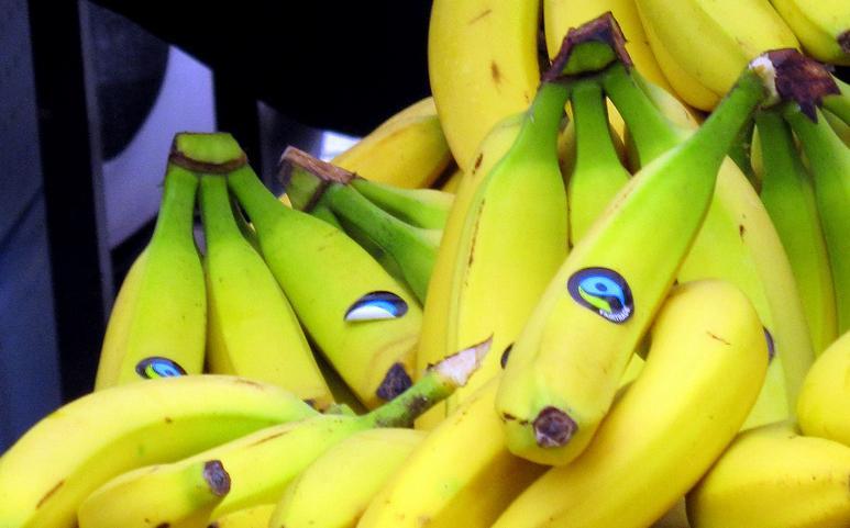 Bananer som ligger i en haug. Foto.