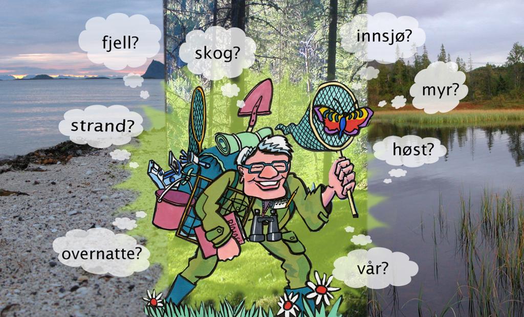 Illustrasjon av alt man bør tenke på i planleggingen av feltarbeid. Tegning.