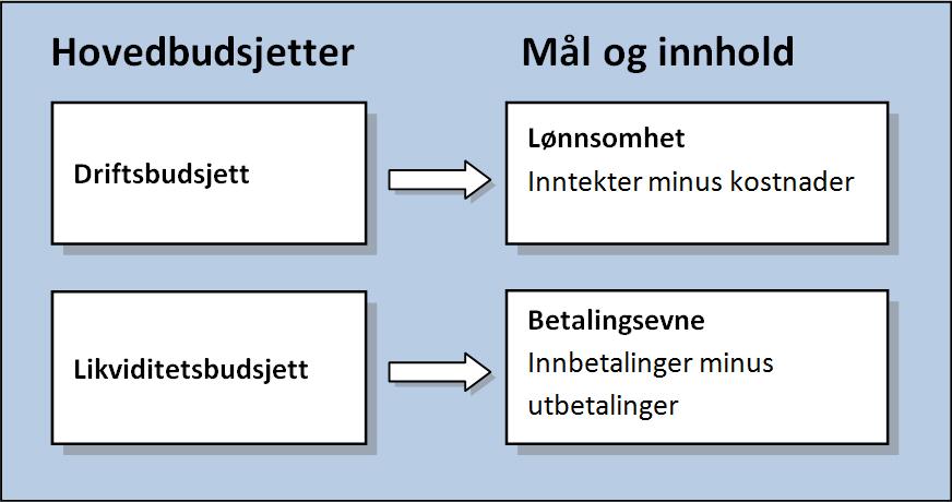 Driftsbudsjett og likviditetsbudsjett