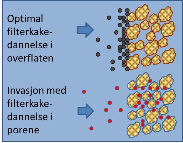 Filterkakedannelse. Illustrasjon.