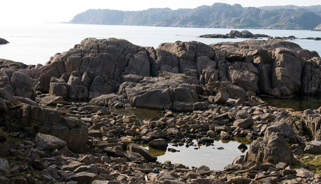 Blant store og små steiner i vannkanten er det en stor fjærepytt. Bakom steinene er det åpent hav. Foto