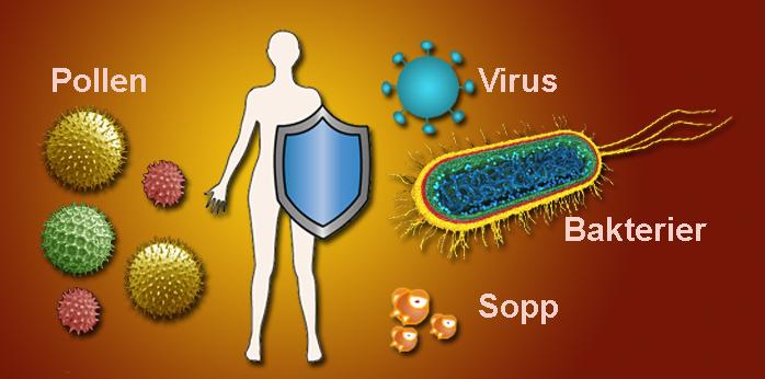 En person med skjold innimellom bakterier, virus, sopp og pollen.