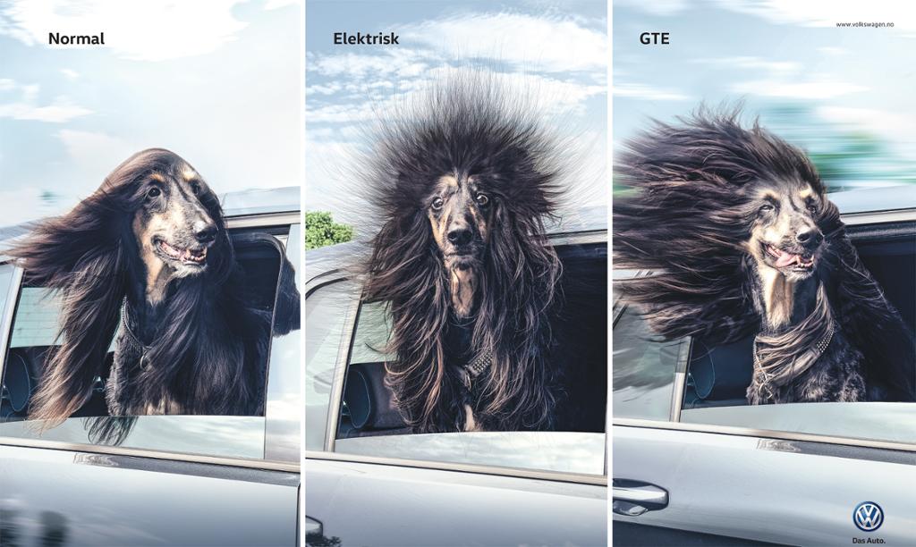 En Volkswagen-reklame som viser en hund med hodet ut av vinduet i tre forskjellige biler: bensinbil, elektrisk bil og GTE-bil. Foto.