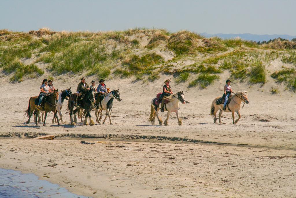 Flere hester med ryttere på en strand. Foto.