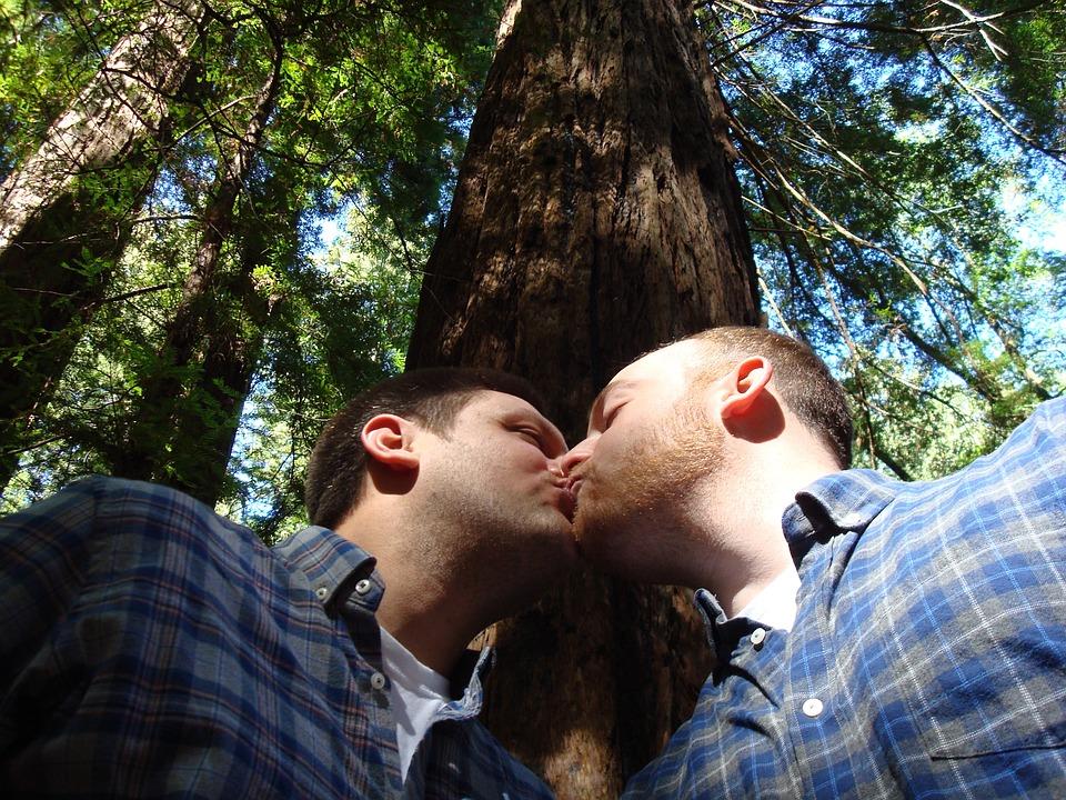 Et homofilt par kysser mellom trærne. Foto.