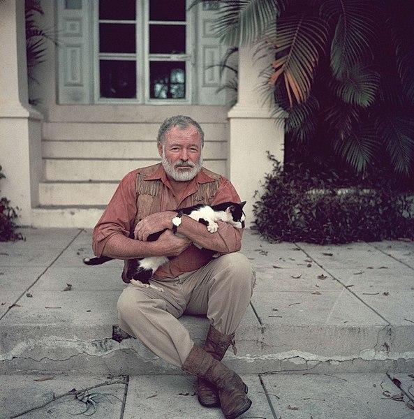 Photo: We see an older man sitting on a stoop. He has white hair and a beard. He is wearing a pink shirt and a leather vest, grey trousers and leather boots. He is holding a black and white cat in his arms. 
