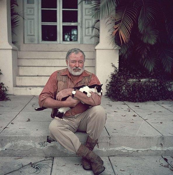 Photo: We see an older man sitting on a stoop. He has white hair and a beard. He is wearing a pink shirt and a leather vest, grey trousers and leather boots. He is holding a black and white cat in his arms.