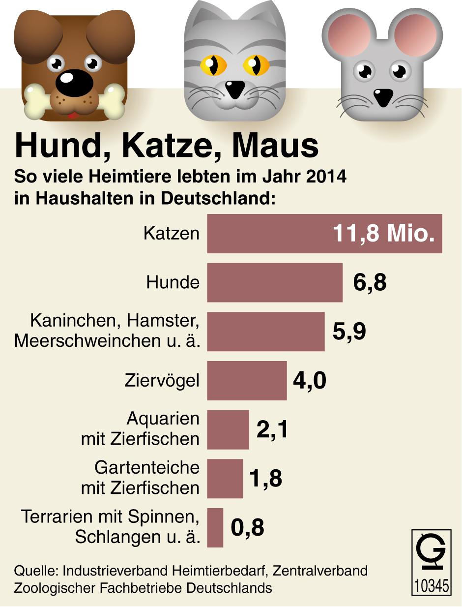 Grafikk om kjæledyrhaldning i Tyskland 2014. Tyskland er eit katteland.