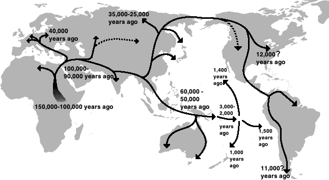 Kart som viser tidlige menneskelige folkevandringer med piler og tidsangivelser. En pil går fra Midtøsten inn til Europa, med tidsangivelsen 40 000 år siden. De andre pilene viser den første utvandringen fra Afrika for 150 000 til 100 000 år siden, og derfra videre ut til resten av verden. Illustrasjon.