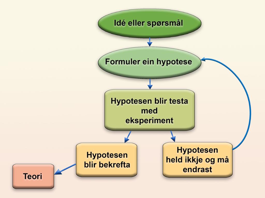 Flytskjema. Illustrasjon.
