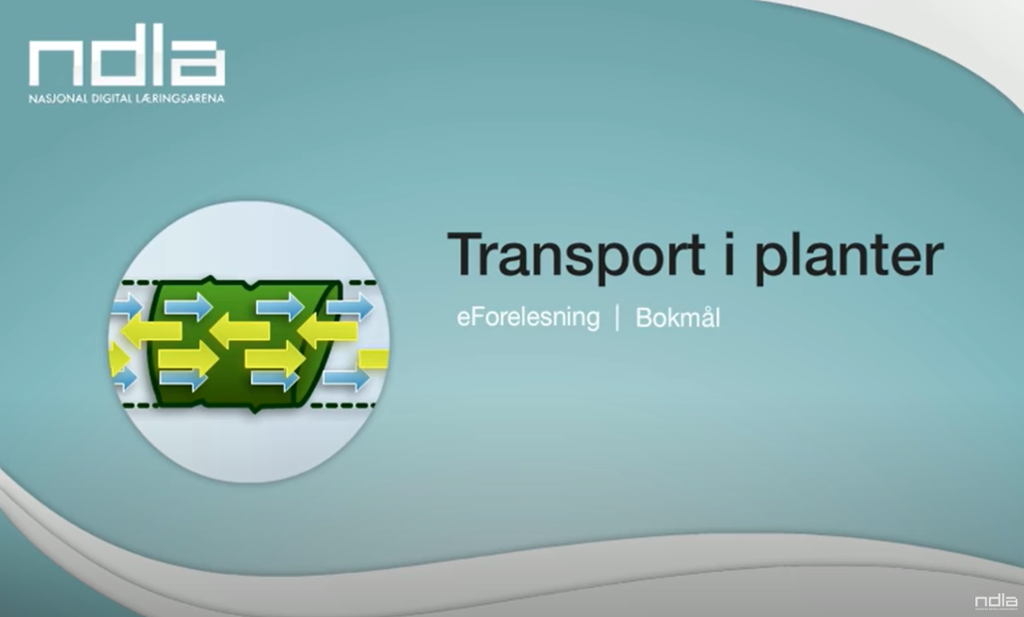 Oppstartsbildet fra e-forelesningen om transport i planter. Foto.