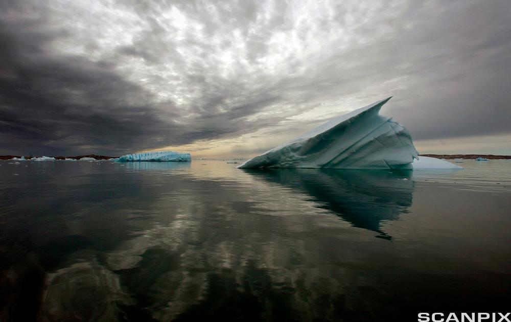 Icebergs float in the calm waters of a fjord, south of Tasiilaq in eastern Greenland