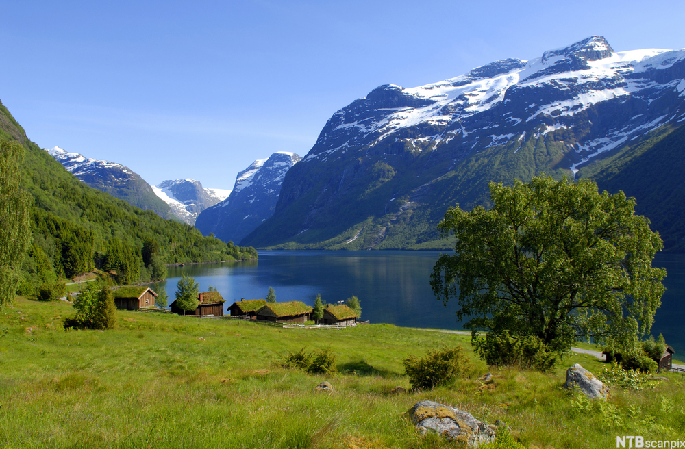 Typisk Norsk Ikke Slott Men Storsl tt Natur UTG TT Norsk SF Vg2 