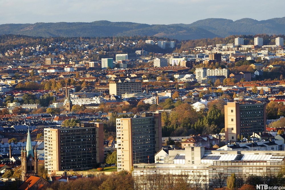 Ulikheter I Oslo Sosiologi Og Sosialantropologi NDLA