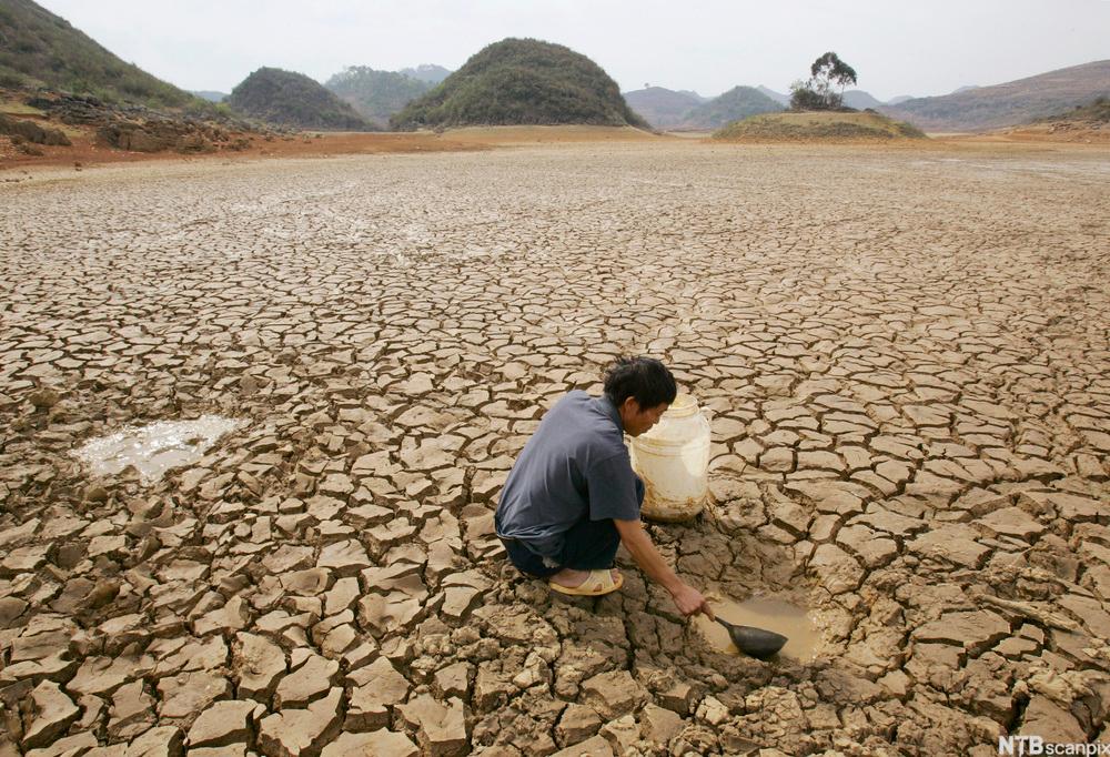 Mann som prøver å finne vann i uttørket landskap. Foto. 