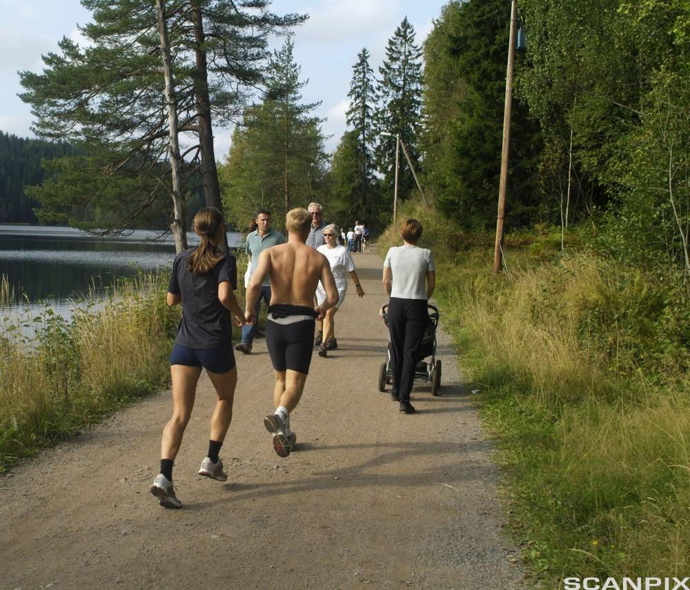 Turgåere og joggere på en grusvei ved et vann. Foto.