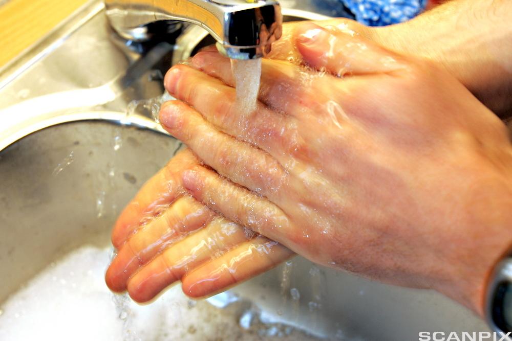 Vask av hender med vann og såpe. Foto.