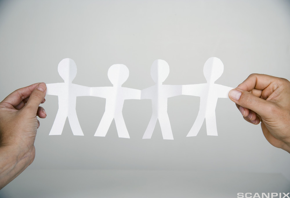 Melting Pot and Salad Bowl Engelsk NDLA