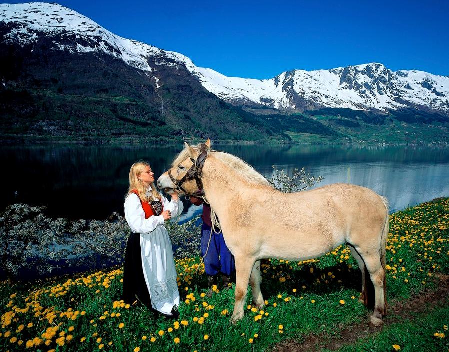 Jente i bunad holder en Fjording på et jorde med gress og løvetann. En fjord og snødekte fjell i bakgrunnen. .